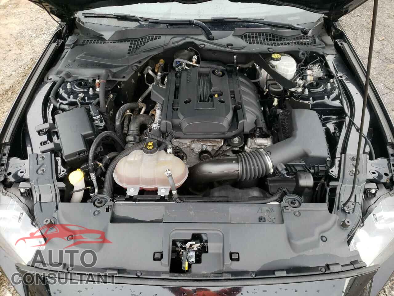 FORD MUSTANG 2019 - 1FATP8UH4K5110004
