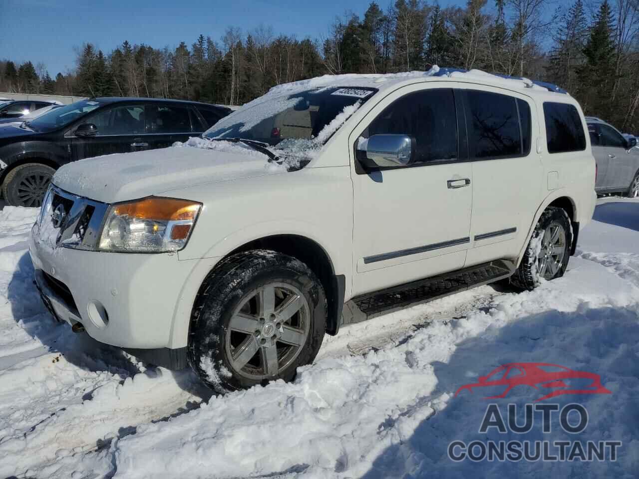 NISSAN ARMADA 2010 - 5N1AA0NC6AN602857