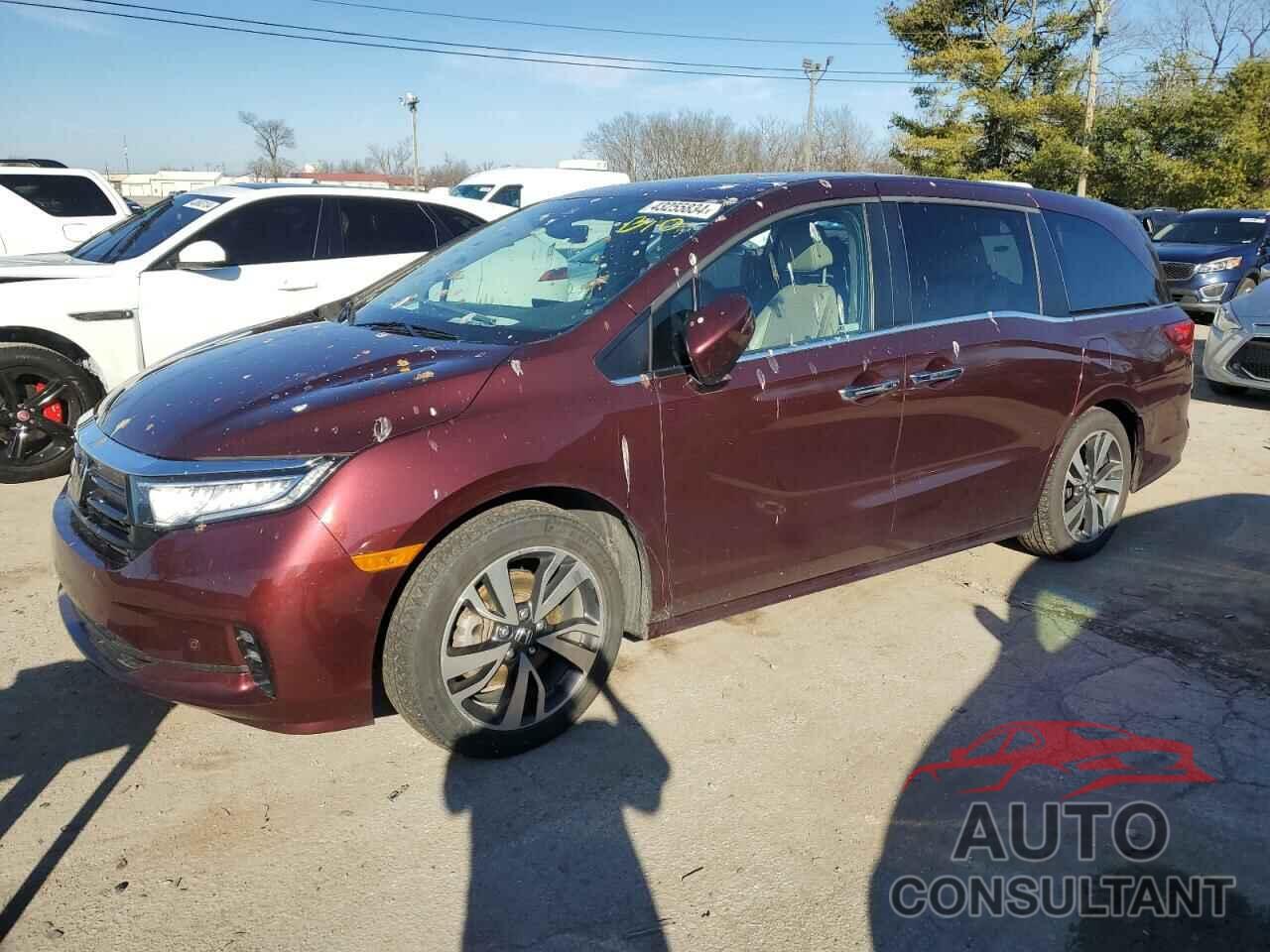 HONDA ODYSSEY 2021 - 5FNRL6H81MB021006