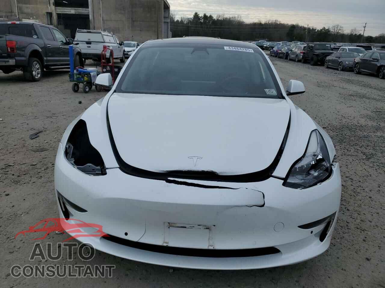 TESLA MODEL 3 2021 - 5YJ3E1EA1MF849244