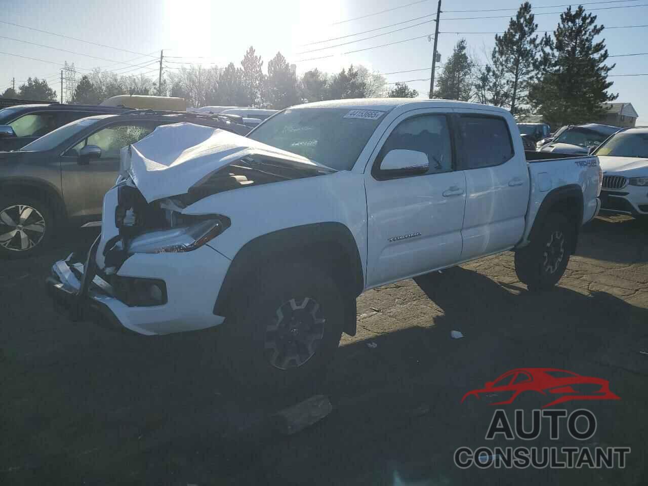 TOYOTA TACOMA 2023 - 3TMCZ5AN9PM610741