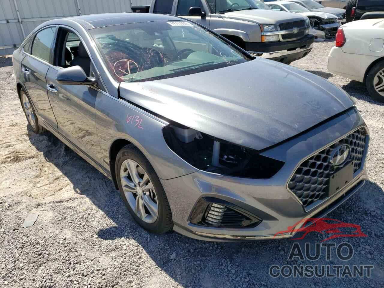 HYUNDAI SONATA 2019 - 5NPE34AF7KH733417