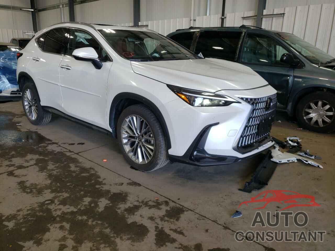 LEXUS NX 350 2022 - JTJGGCEZ8N5000290