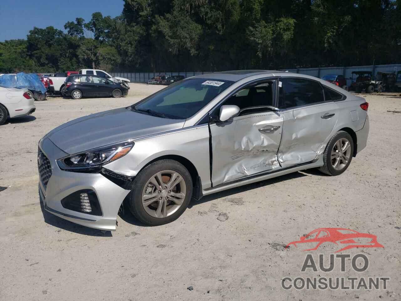 HYUNDAI SONATA 2019 - 5NPE34AF8KH805693
