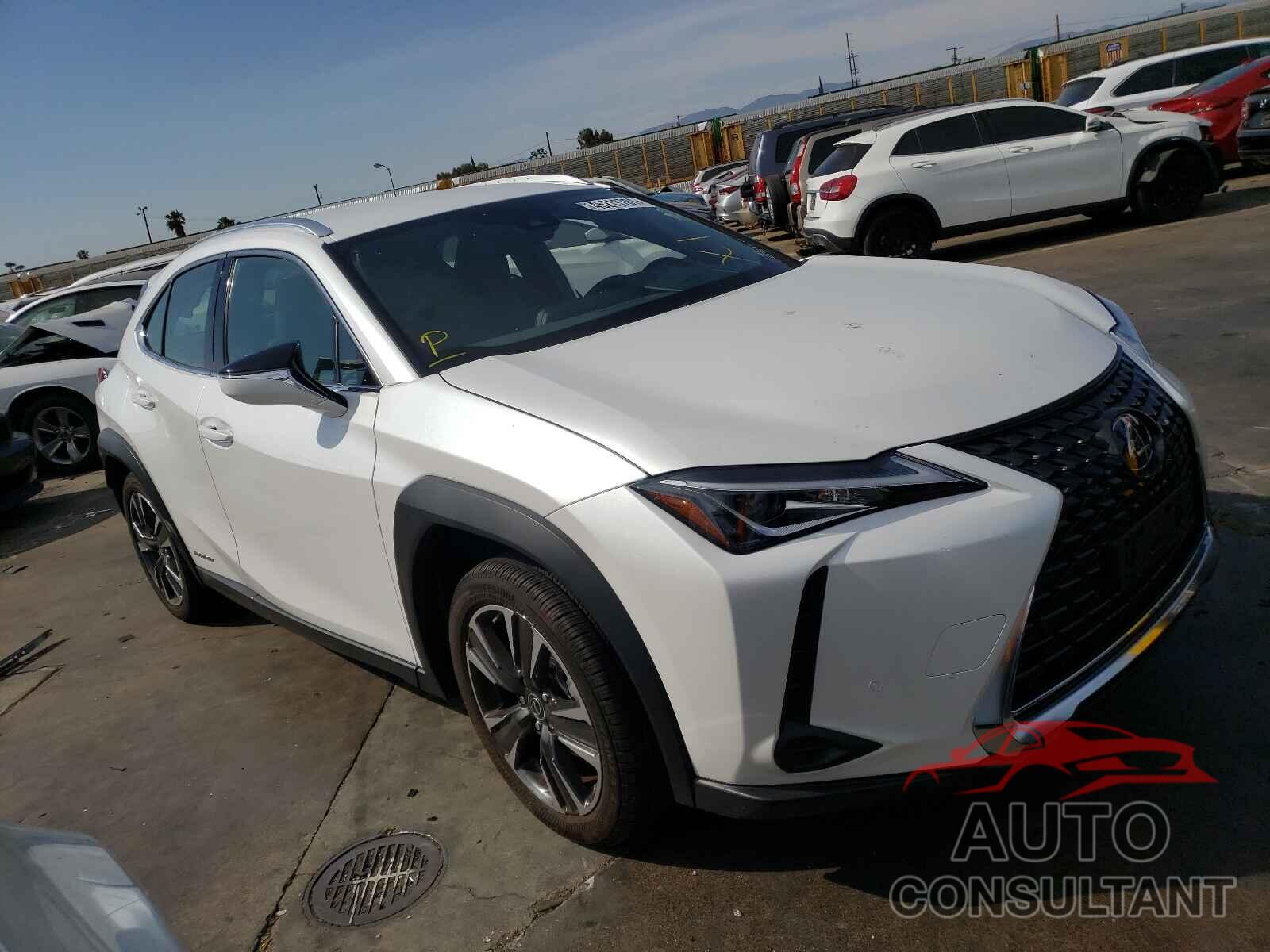 LEXUS UX 250H 2021 - JTHX9JBH0M2042691