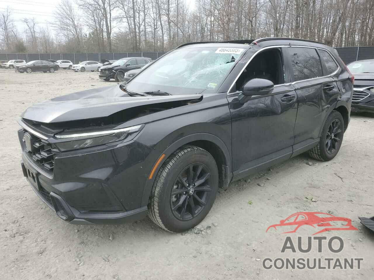 HONDA CRV 2024 - 7FARS6H51RE051630