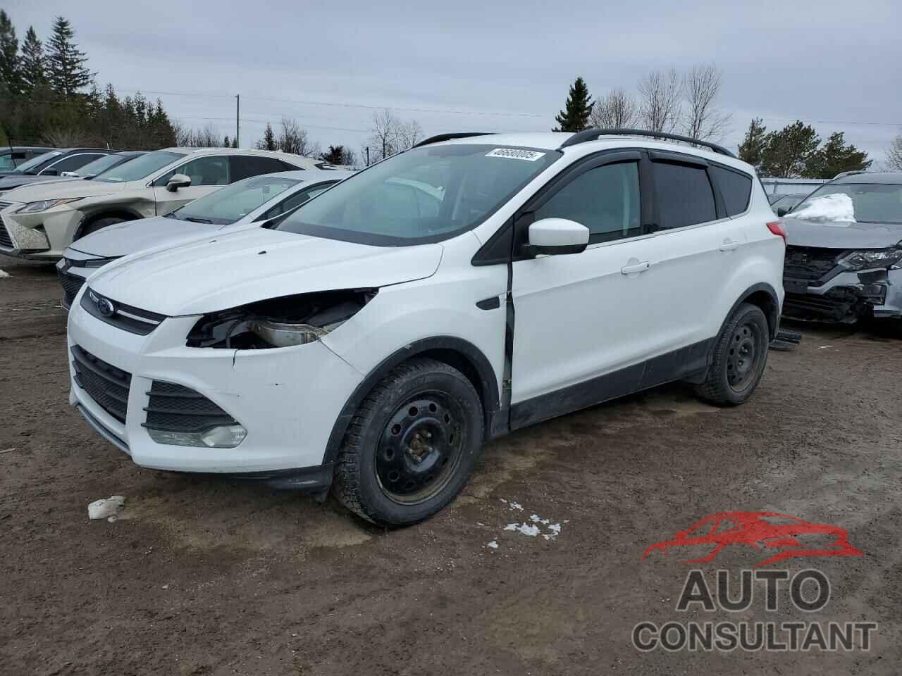 FORD ESCAPE 2016 - 1FMCU9GX3GUB01301