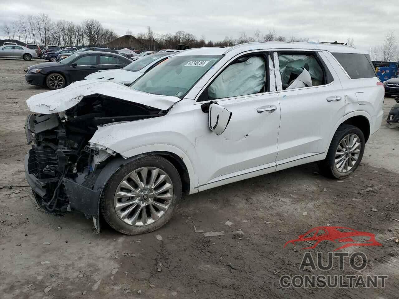 HYUNDAI PALISADE 2020 - KM8R5DHE9LU111011