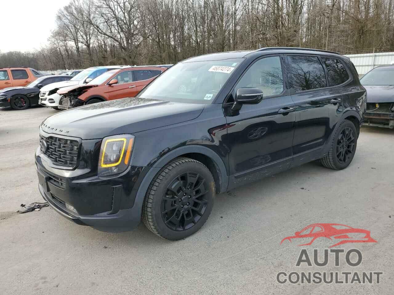 KIA TELLURIDE 2021 - 5XYP5DHC0MG124999