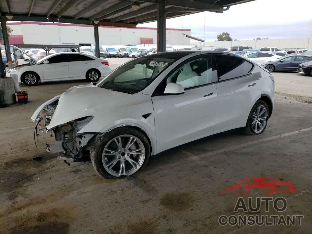 TESLA MODEL Y 2024 - 7SAYGDED2RF077262