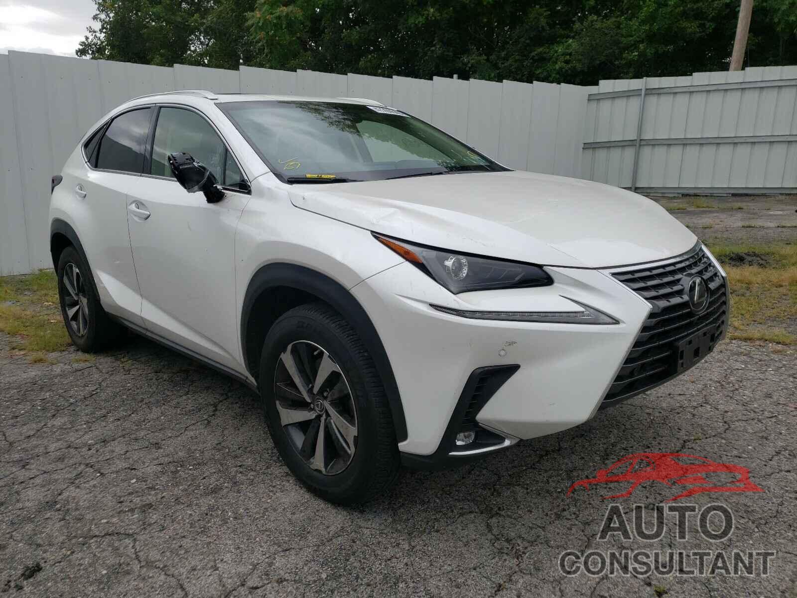 LEXUS NX 2019 - JTJBARBZ0K2209202