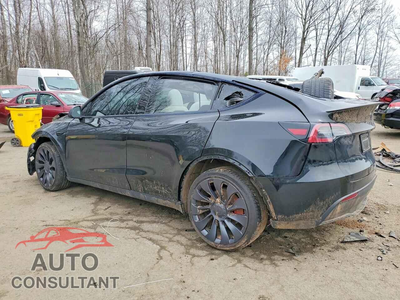 TESLA MODEL Y 2024 - 7SAYGDEF7RF021349