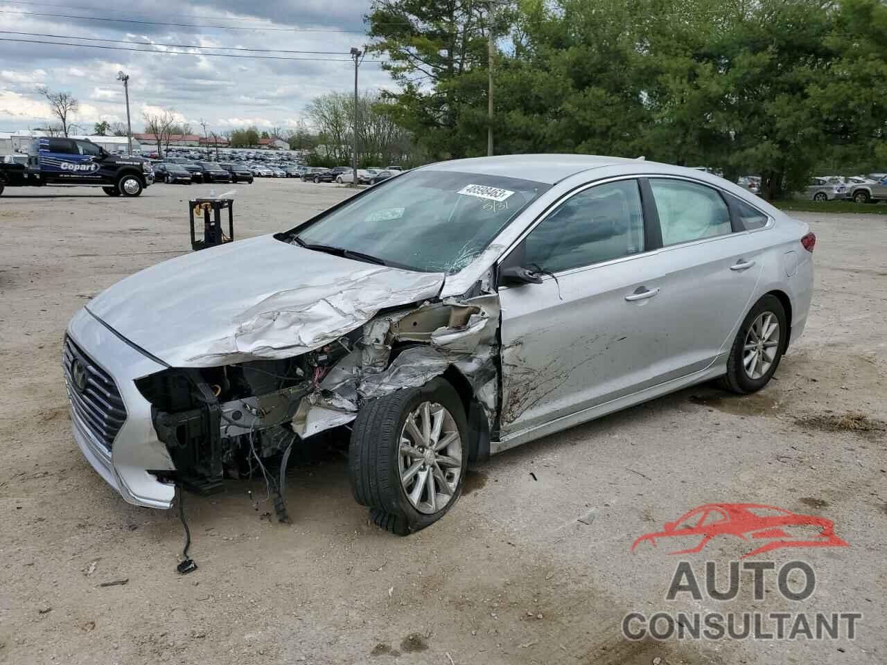 HYUNDAI SONATA 2019 - 5NPE24AF4KH811056