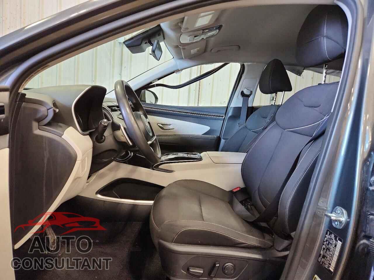HYUNDAI TUCSON 2023 - KM8JBCA10PU092829