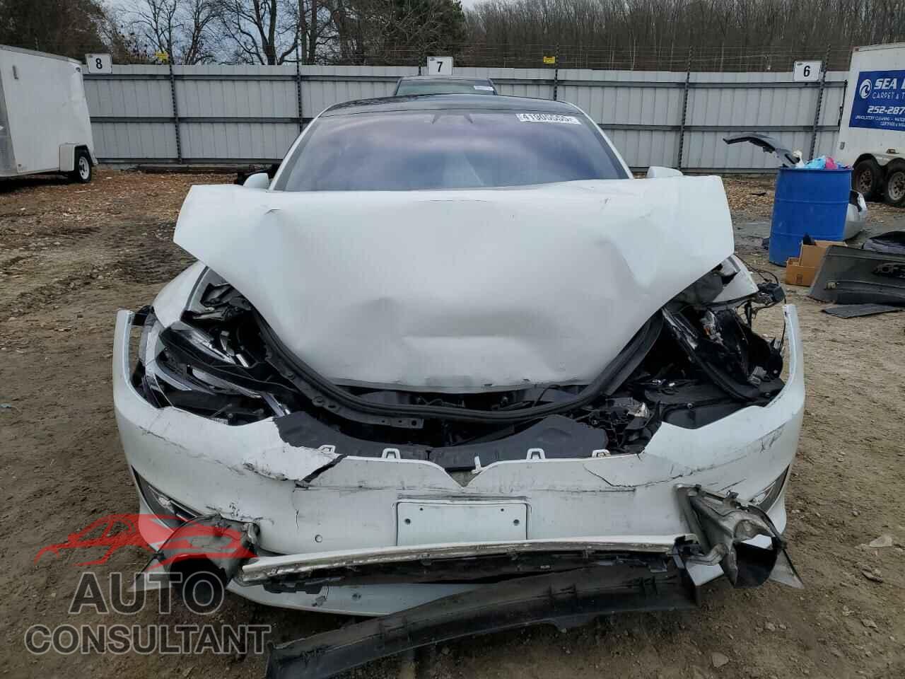 TESLA MODEL S 2019 - 5YJSA1E25KF339766