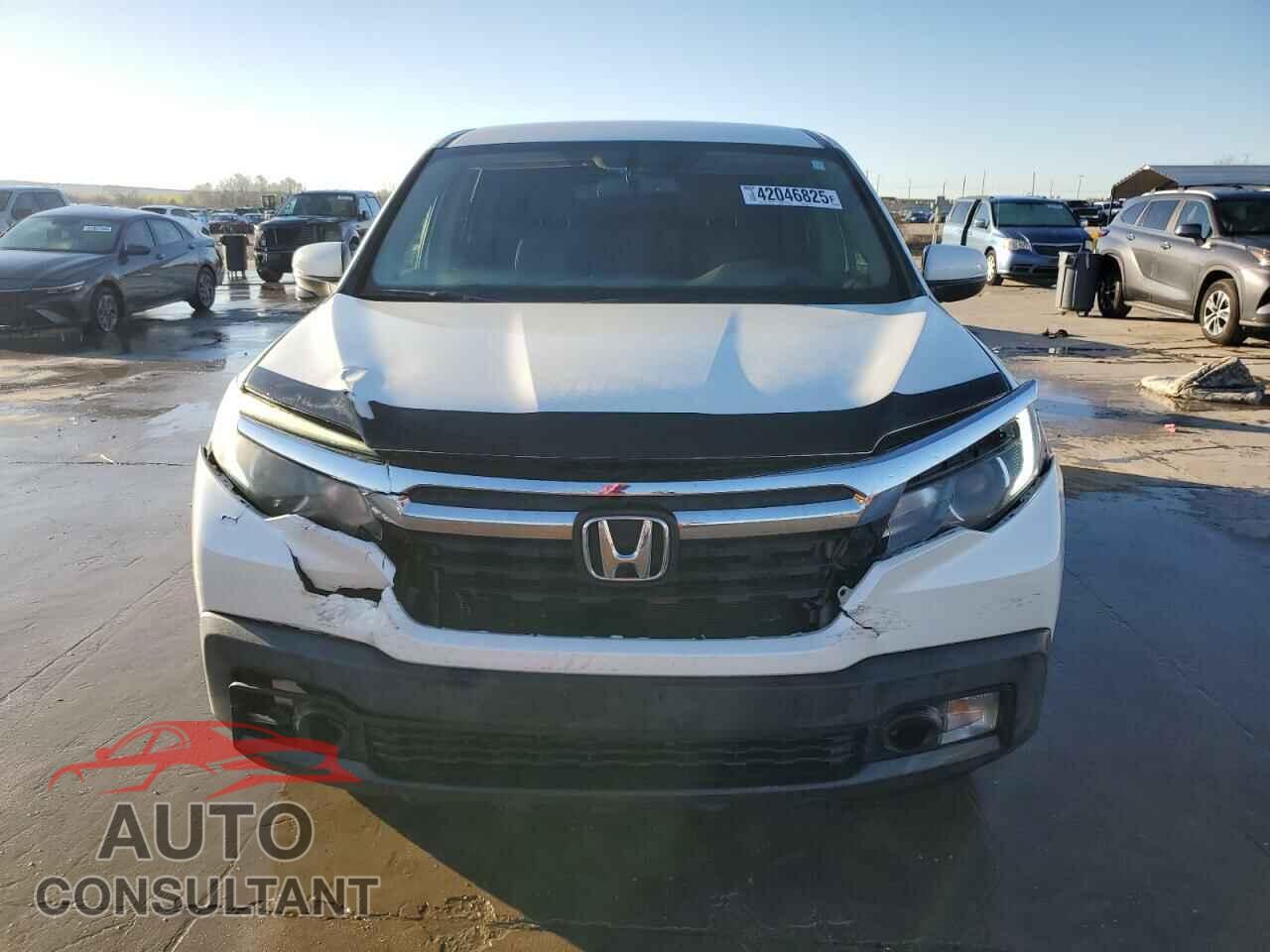 HONDA RIDGELINE 2017 - 5FPYK3F62HB034505