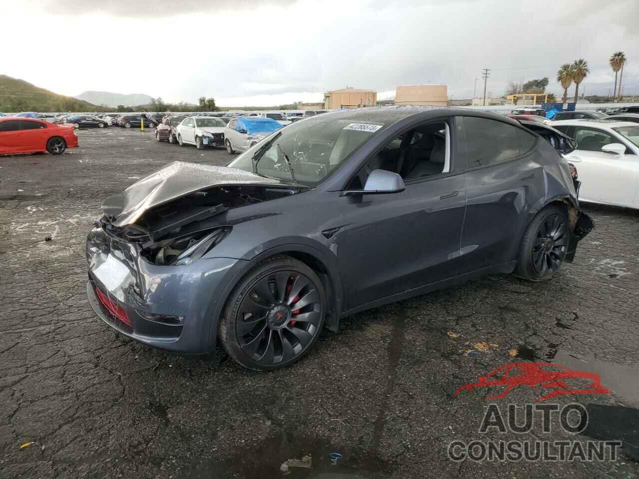 TESLA MODEL Y 2022 - 7SAYGDEF6NF383229