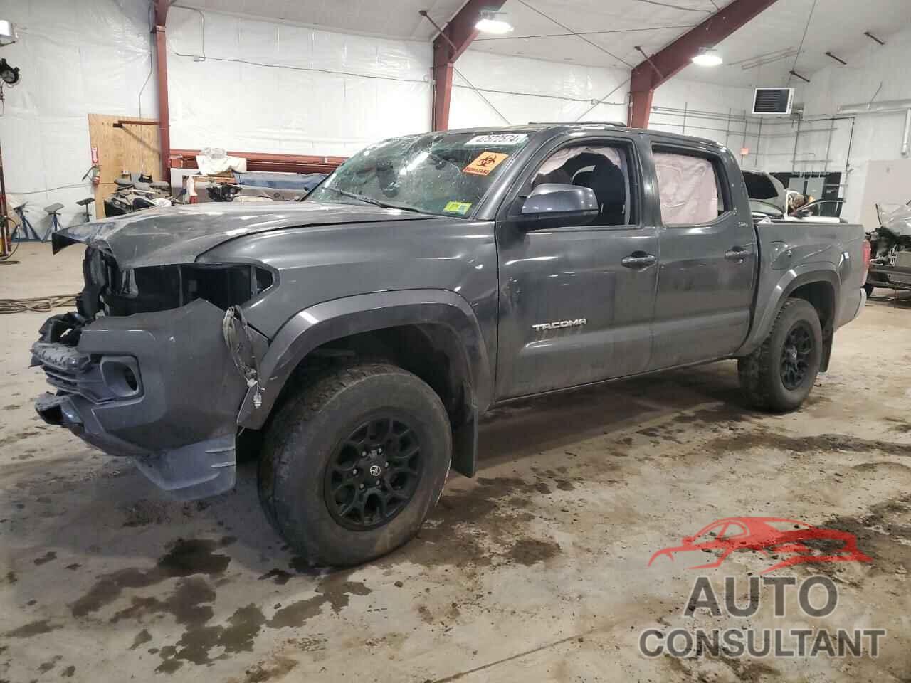 TOYOTA TACOMA 2019 - 3TMCZ5AN5KM193286