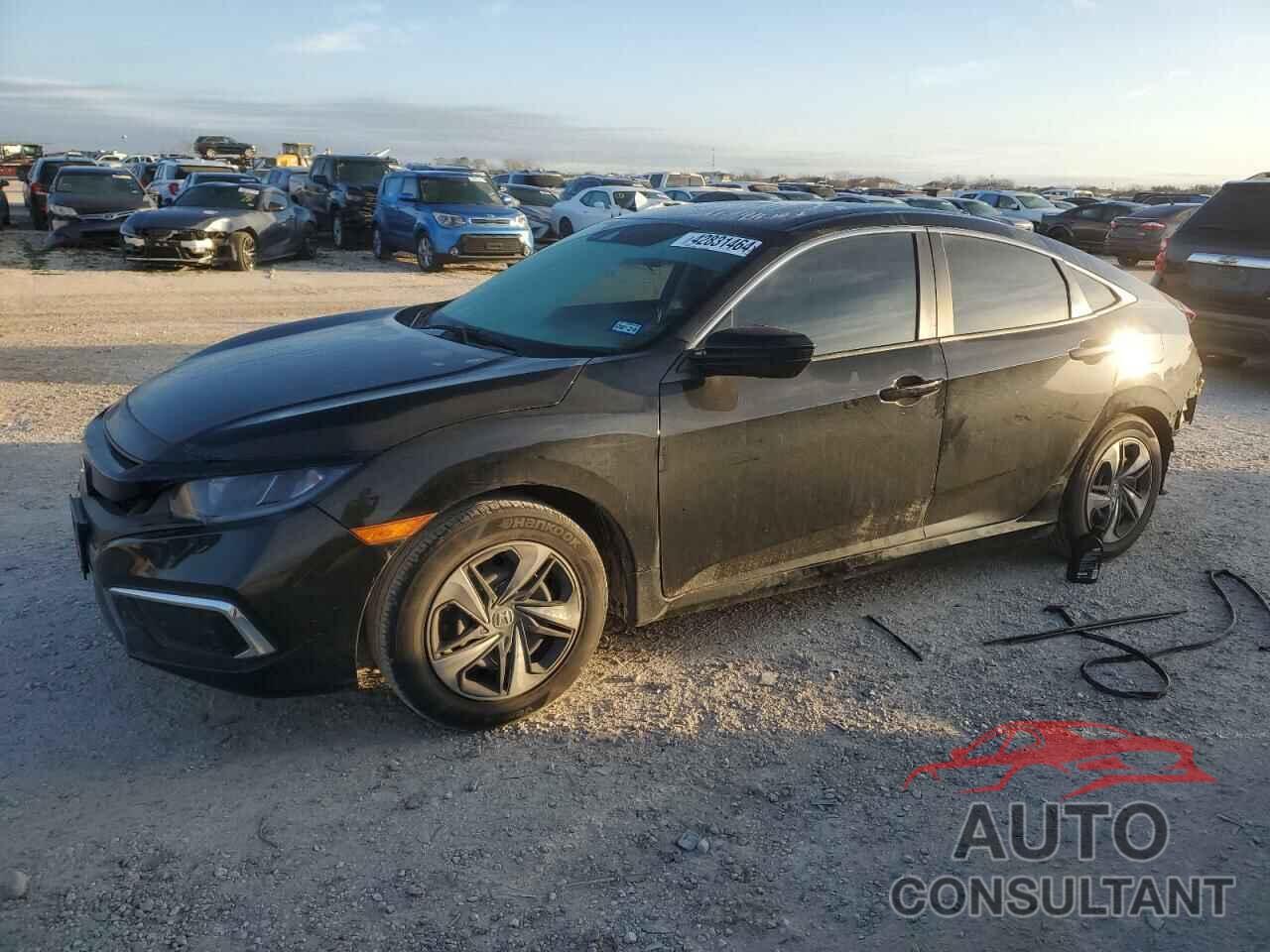 HONDA CIVIC 2019 - 2HGFC2F63KH559521