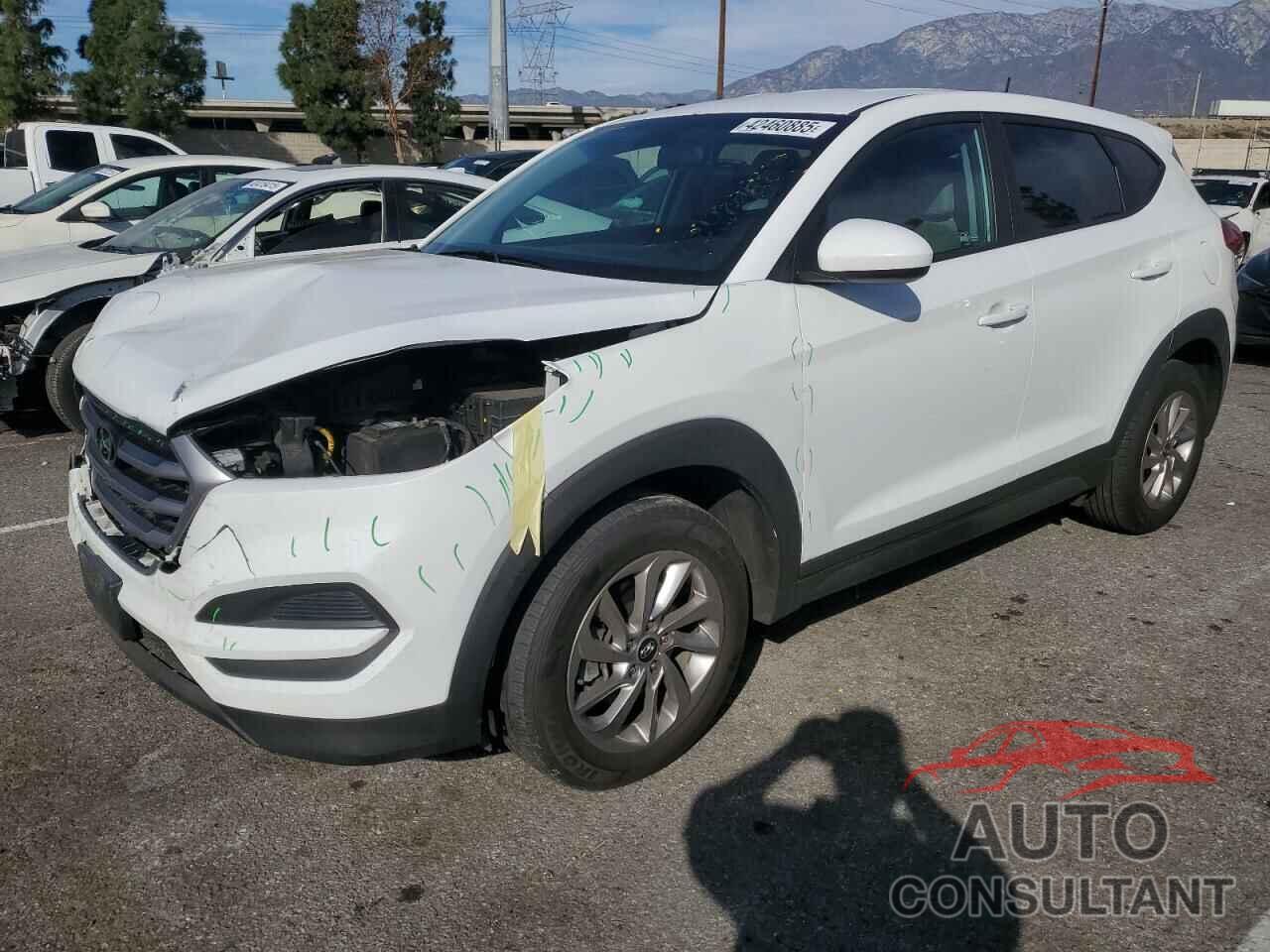 HYUNDAI TUCSON 2017 - KM8J23A49HU466673