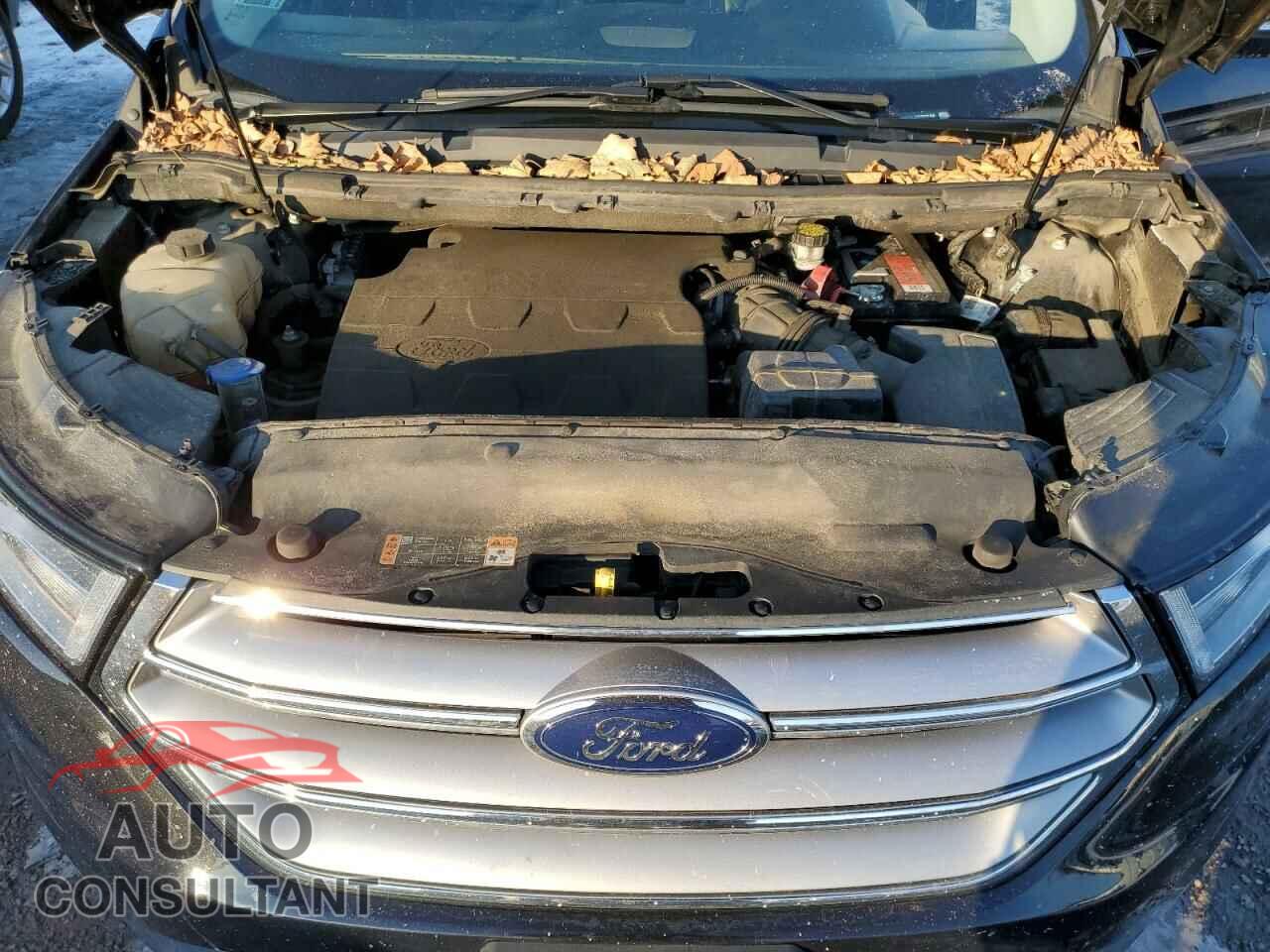 FORD EDGE 2017 - 2FMPK4J80HBC57458