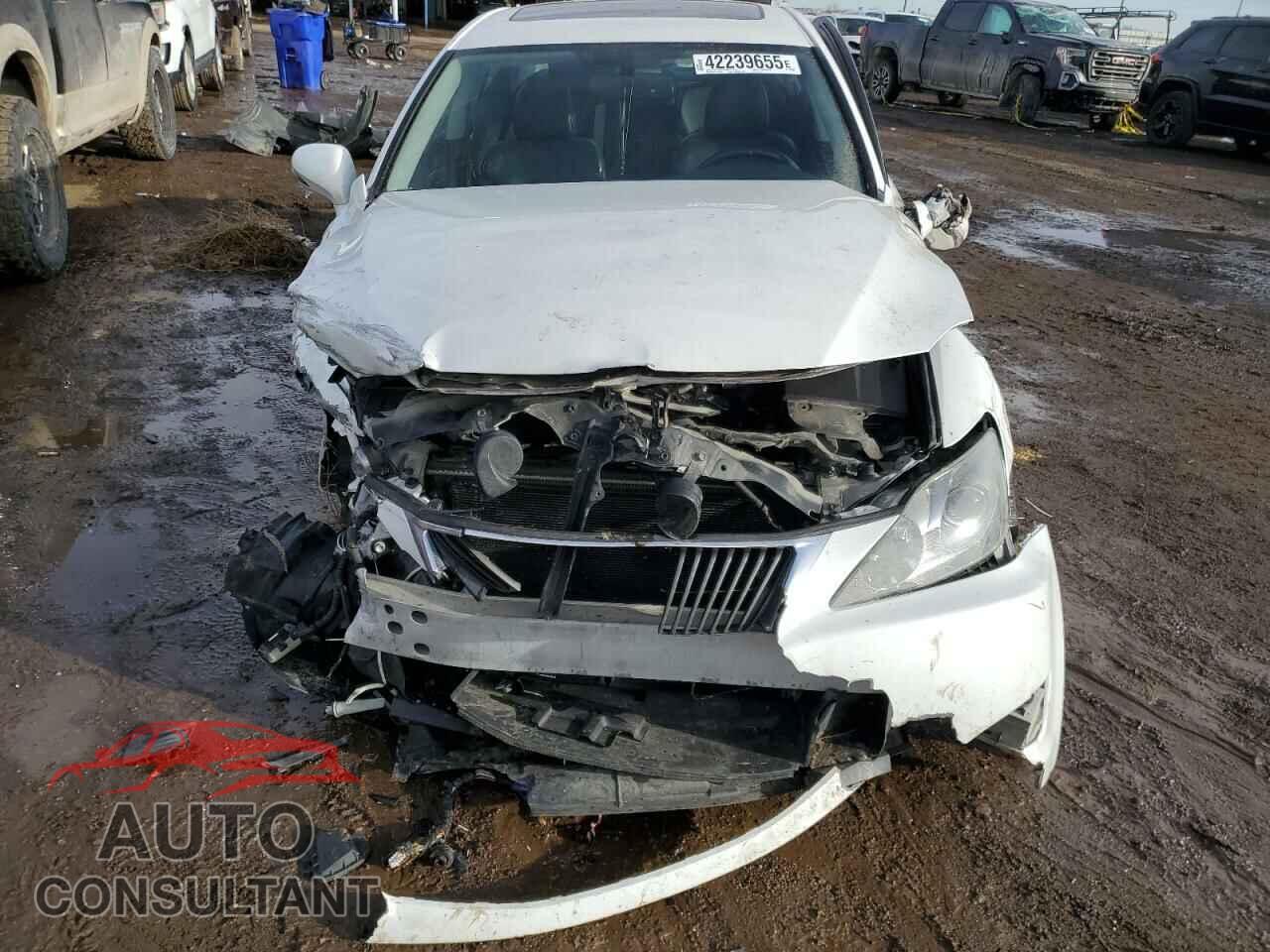 LEXUS IS 2010 - JTHCF5C27A5041198