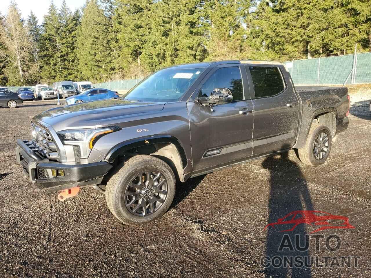TOYOTA TUNDRA 2024 - 5TFNA5DB4RX169373