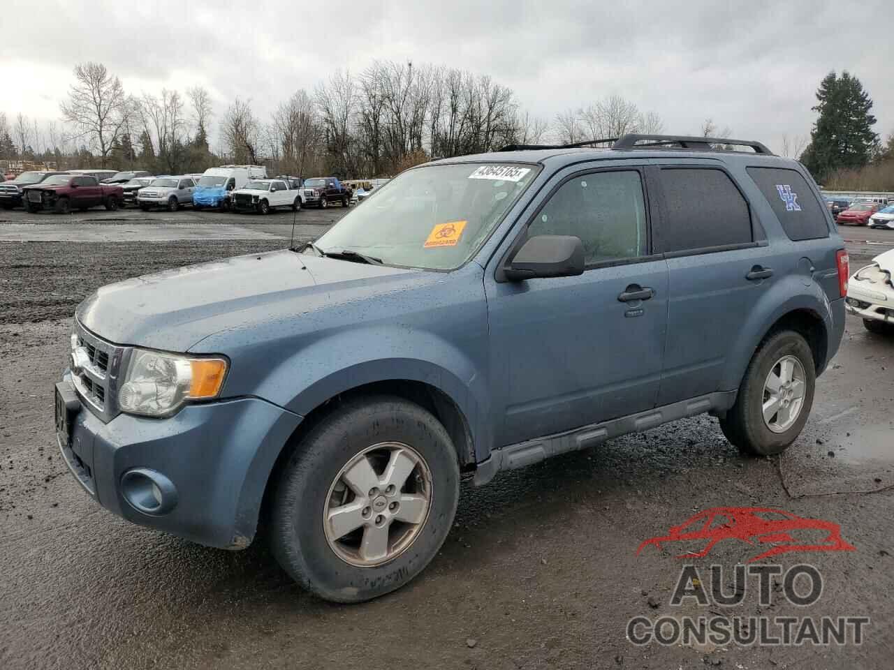 FORD ESCAPE 2012 - 1FMCU0DG9CKA90746