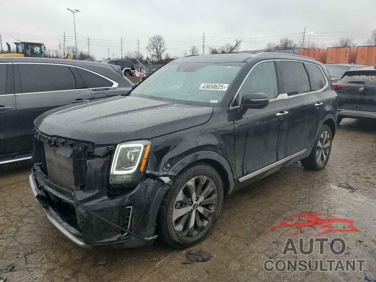KIA TELLURIDE 2021 - 5XYP6DHC6MG151279