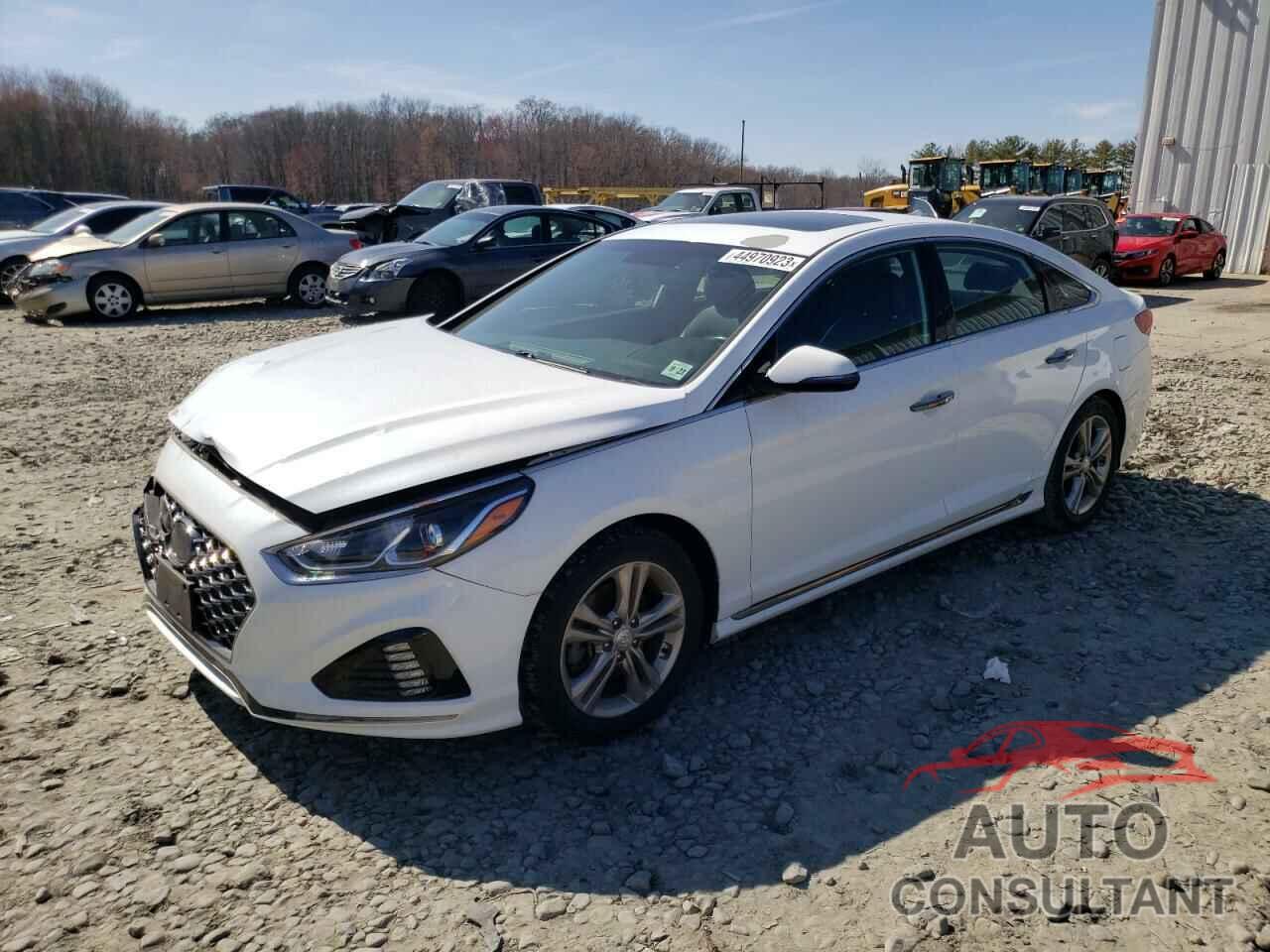 HYUNDAI SONATA 2018 - 5NPE34AF5JH696091