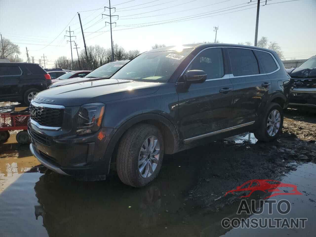 KIA TELLURIDE 2022 - 5XYP2DHC3NG296633