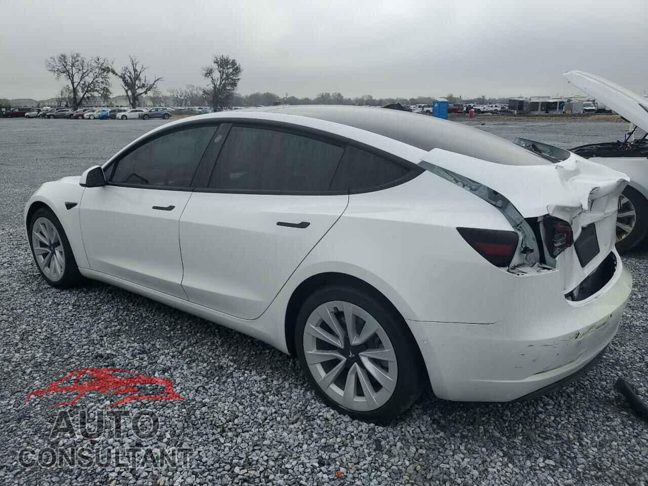 TESLA MODEL 3 2021 - 5YJ3E1EA8MF978095