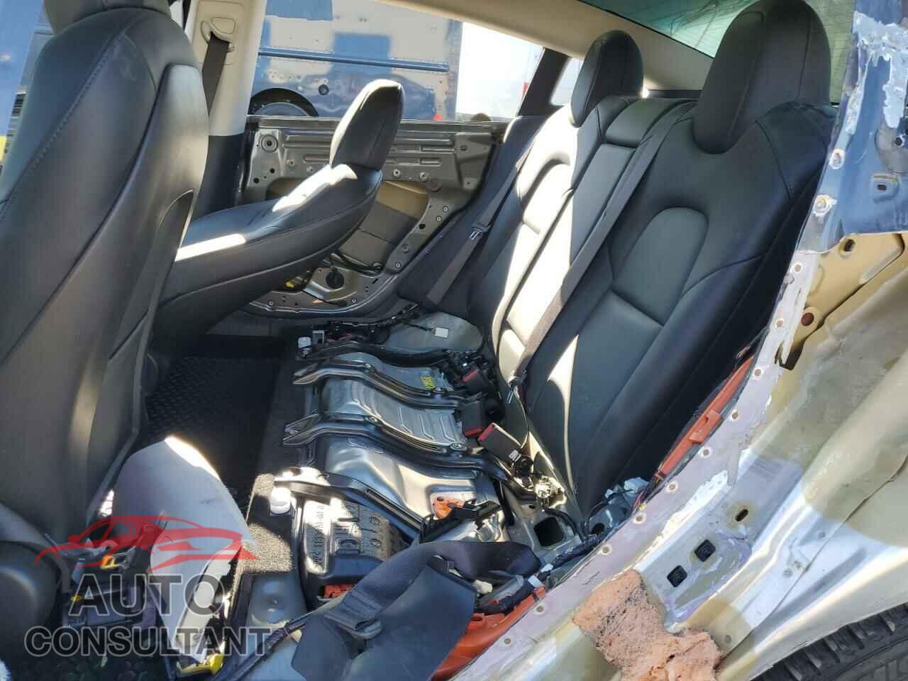 TESLA MODEL 3 2019 - 5YJ3E1EA9KF338197
