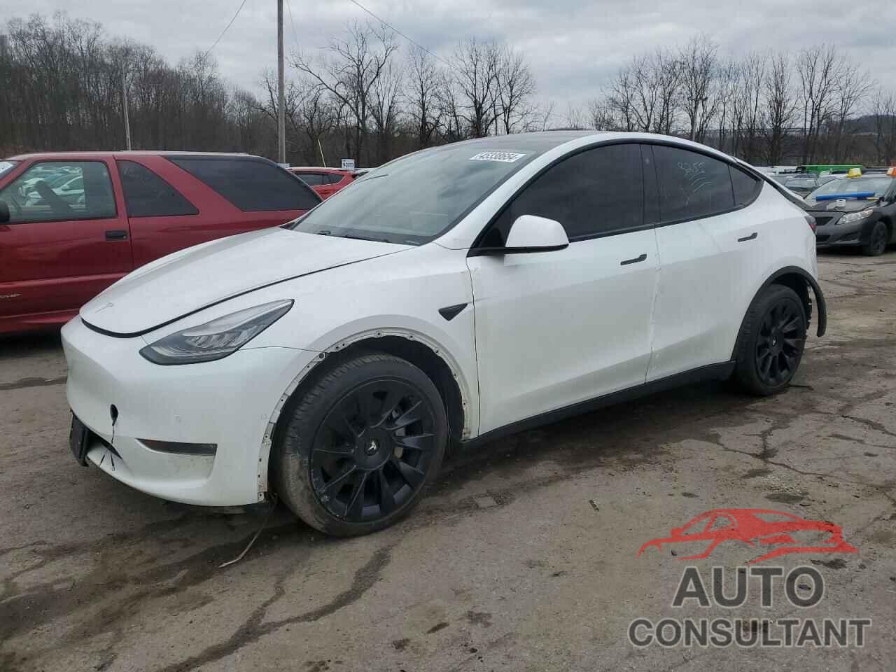 TESLA MODEL Y 2020 - 5YJYGDEEXLF032843