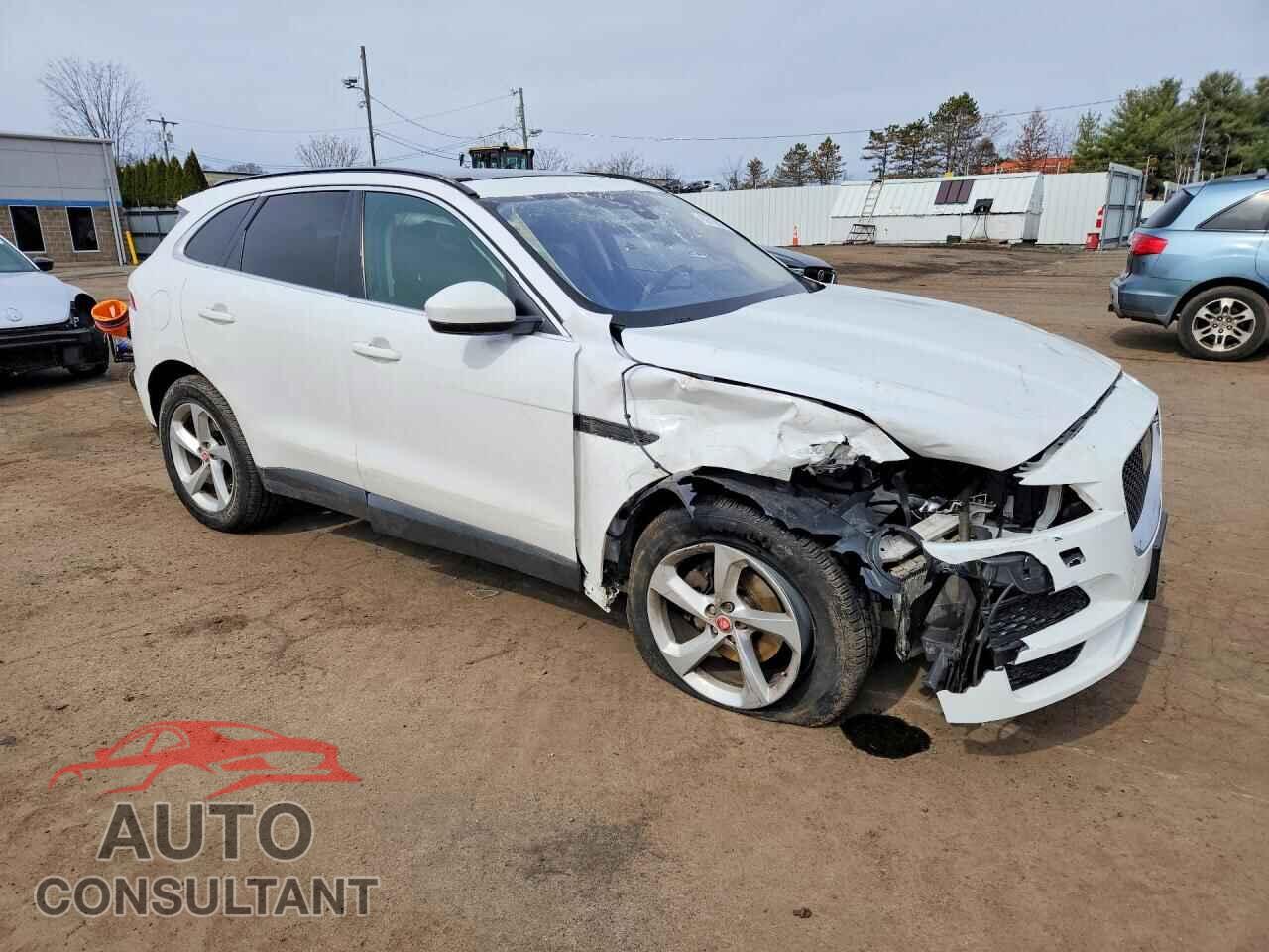 JAGUAR F-PACE 2019 - SADCJ2FX3KA610261