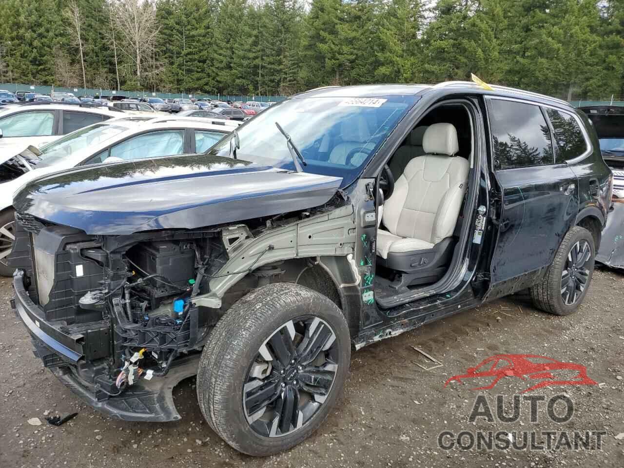 KIA TELLURIDE 2024 - 5XYP54GC6RG427102