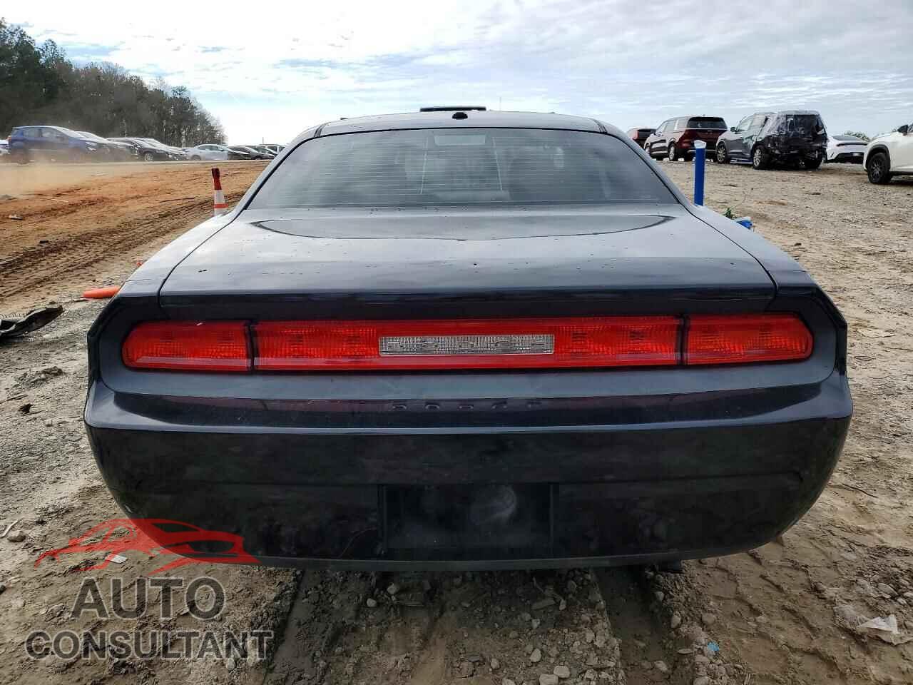 DODGE CHALLENGER 2010 - 2B3CJ4DVXAH322425
