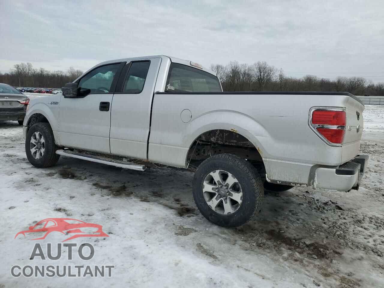 FORD F-150 2013 - 1FTFX1EF7DFD79266