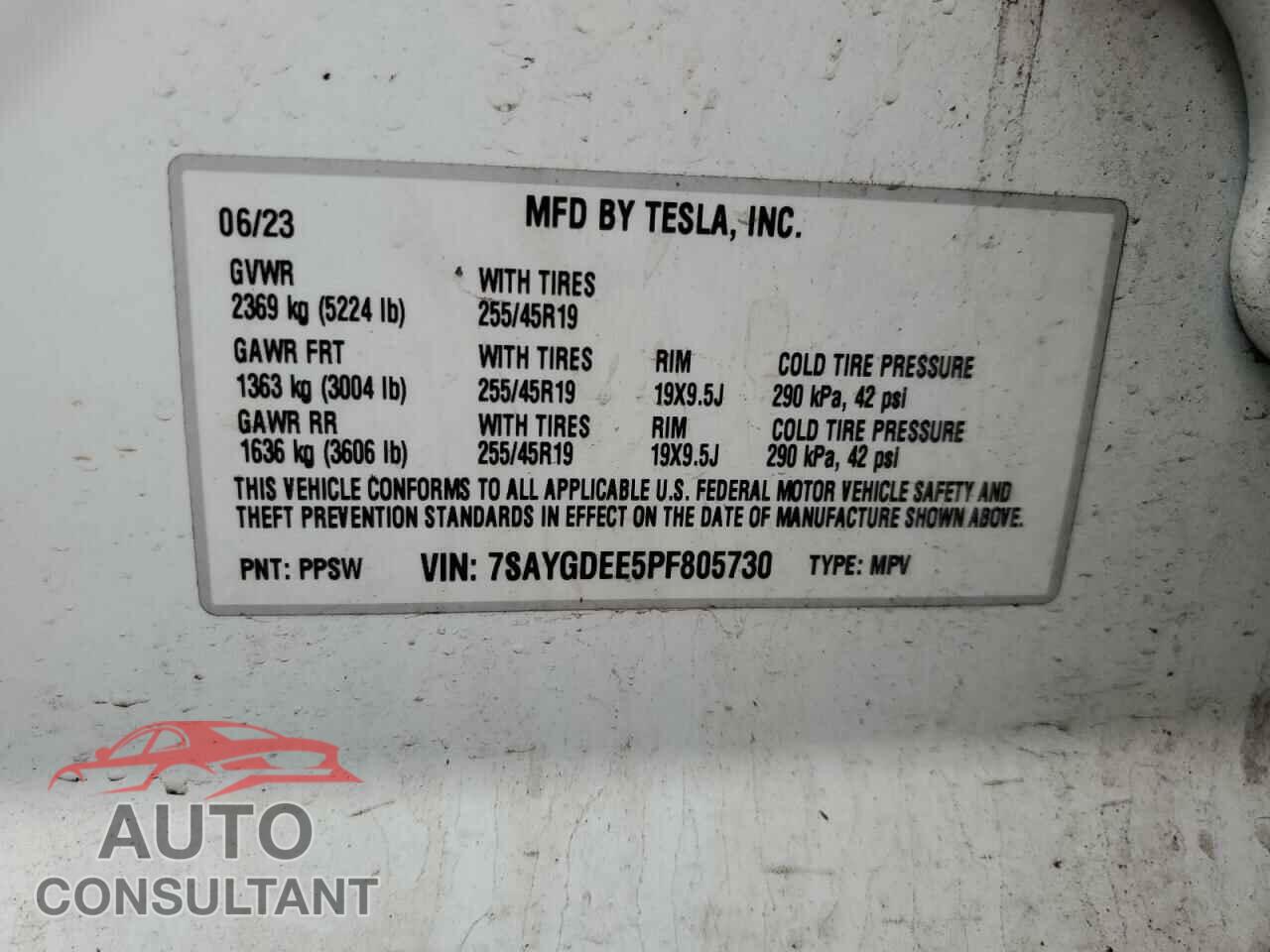 TESLA MODEL Y 2023 - 7SAYGDEE5PF805730