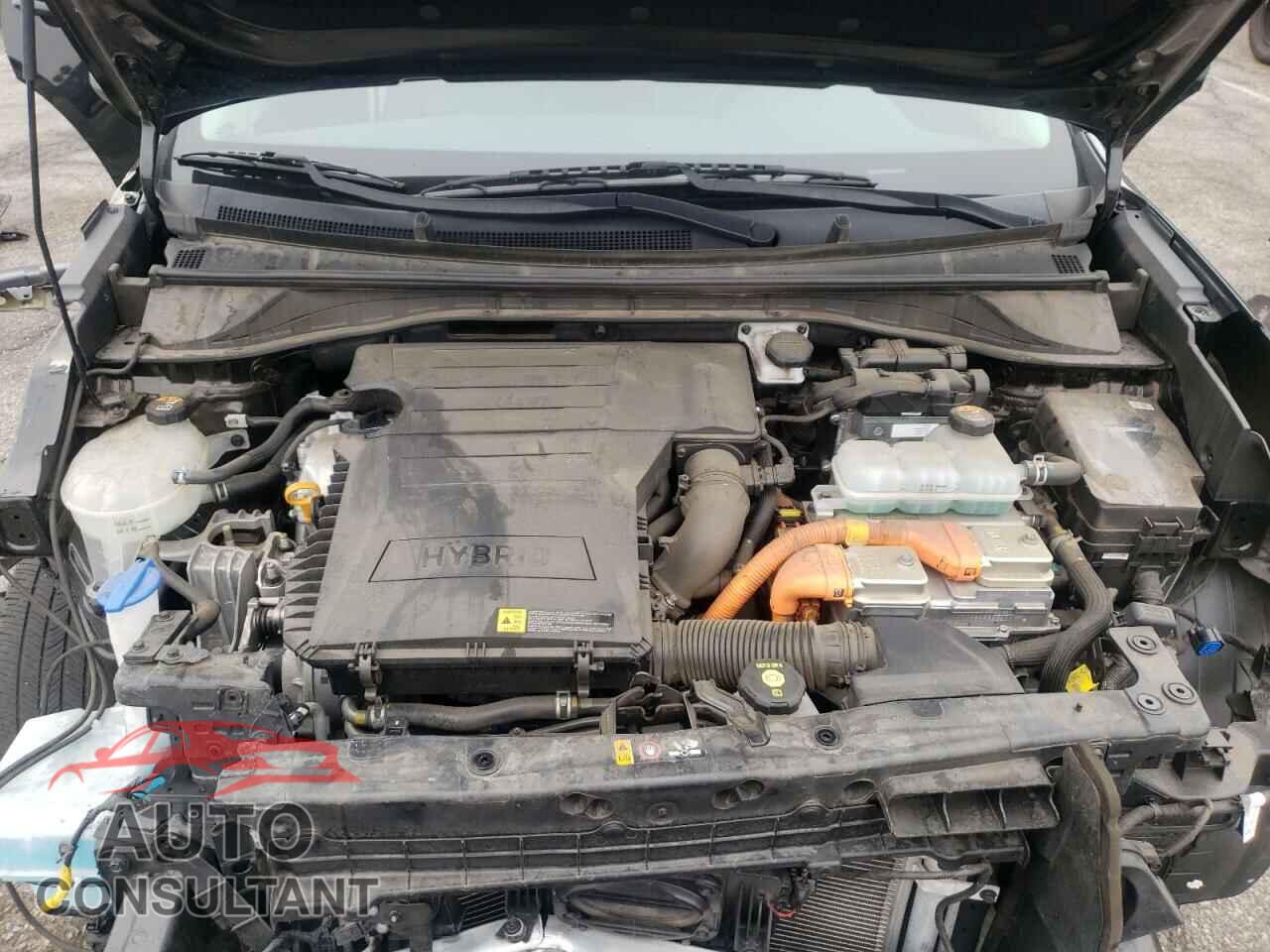 KIA NIRO 2019 - KNDCB3LC8K5347838