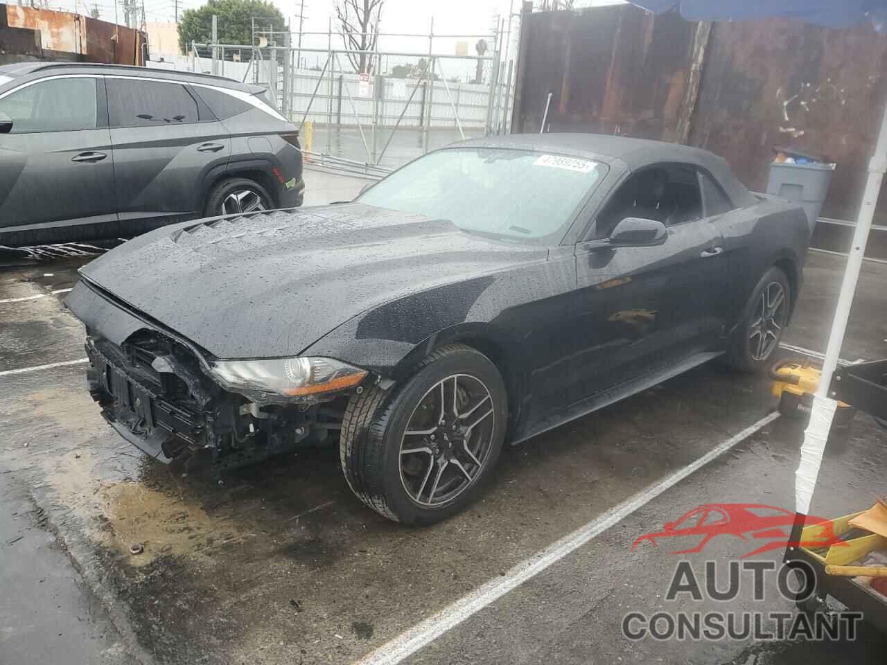 FORD MUSTANG 2019 - 1FATP8FFXK5138319