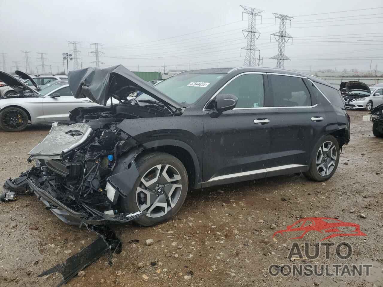 HYUNDAI PALISADE 2024 - KM8R5DGE4RU729752