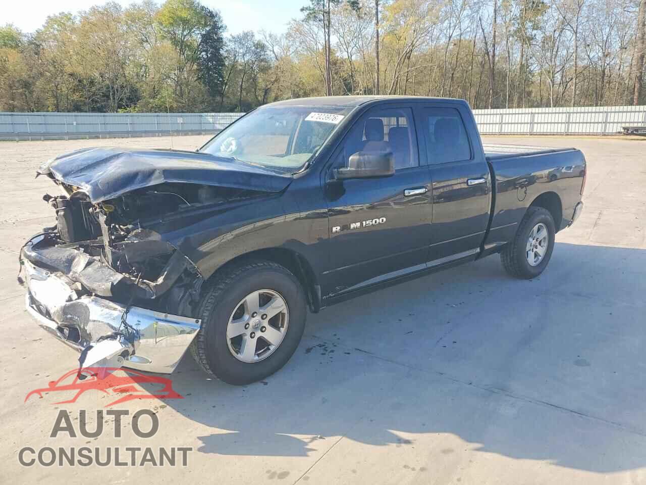 DODGE RAM 1500 2011 - 1D7RB1GP2BS586188