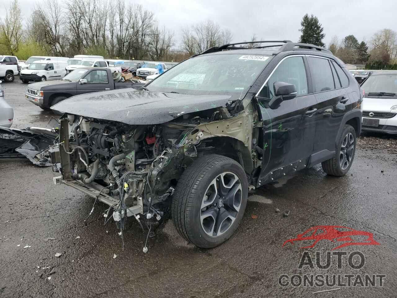 TOYOTA RAV4 2019 - 2T3J1RFV4KC056242