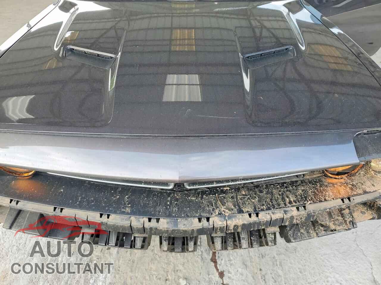 DODGE CHALLENGER 2019 - 2C3CDZAG7KH733683