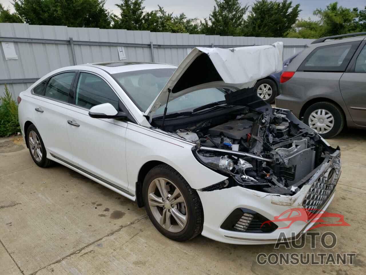 HYUNDAI SONATA 2019 - 5NPE34AF8KH801451