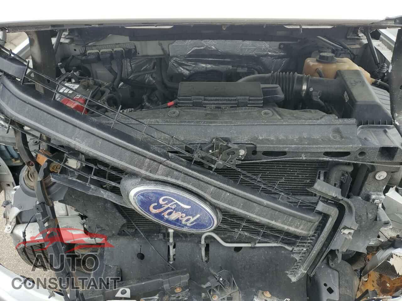 FORD F-150 2013 - 1FTFX1EF8DFB65516
