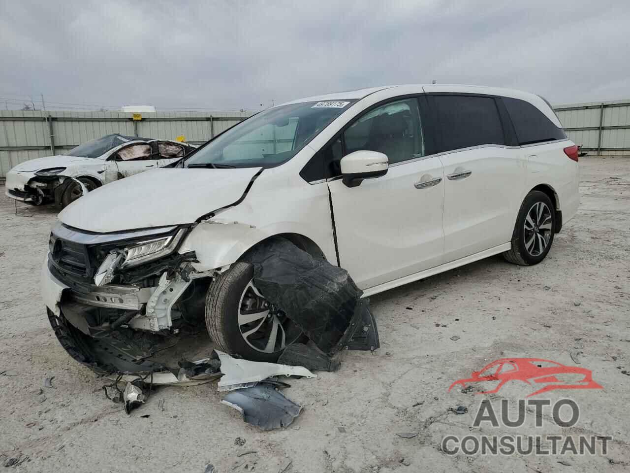 HONDA ODYSSEY 2024 - 5FNRL6H81RB063067