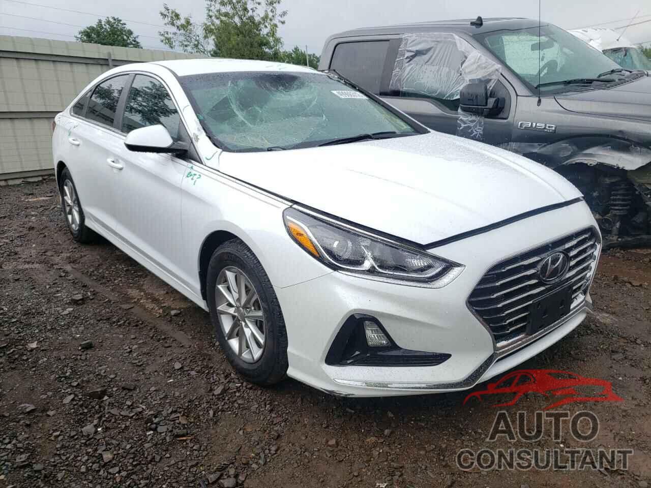 HYUNDAI SONATA 2019 - 5NPE24AF6KH753905