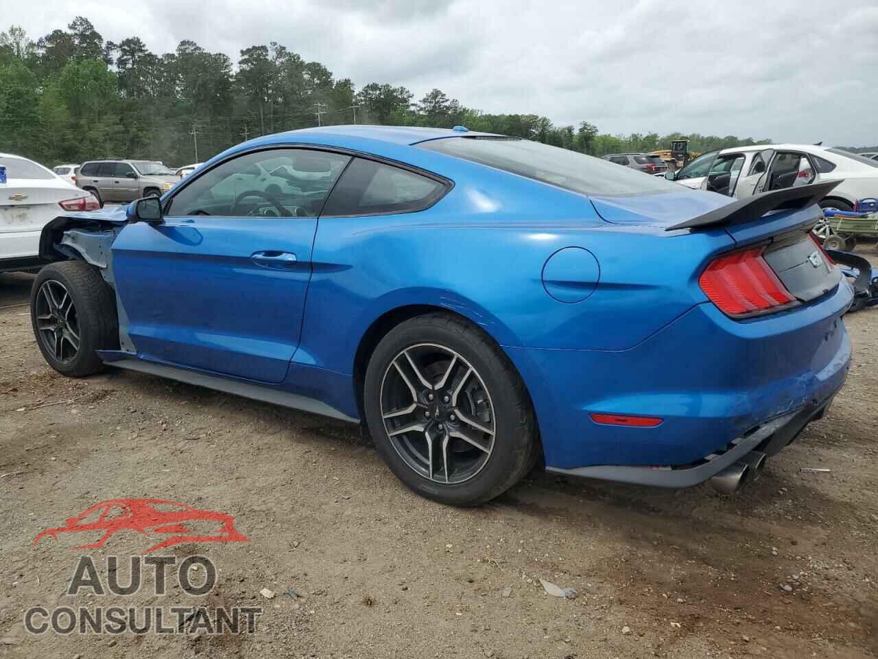 FORD MUSTANG 2019 - 1FA6P8CF2K5129406